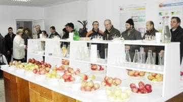 Degustare de fructe şi sucuri naturale la Institutul Pomicol Mărăcineni