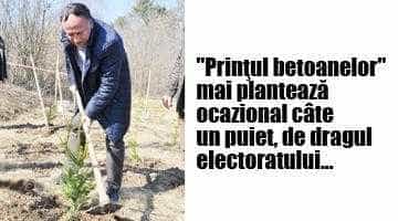 Crimă de mediu în oraşul lui Pendiuc! Dispar 6 hectare de spaţii verzi din Piteşti