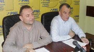 PNL şi PDL vor să strângă 50.000 de semnături în Argeş pentru Iohannis