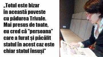 Moştenitoarea Brătienilor, noi dezvăluiri în scandalul vânzării pădurii Trivale