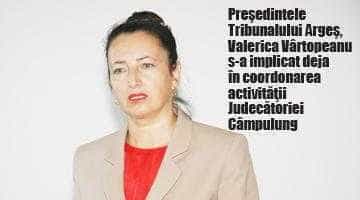 Problemele de la Judecătoria Câmpulung pot duce  la schimbarea legislaţiei