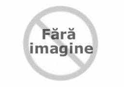 Vicele Ionică îl atacă indirect pe consilierul județean Narcis Sofianu: „Un oportunist. Nu l-am văzut pe nicăieri”