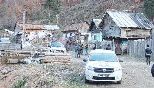 Încă un dezastru ecologic în Argeş: peste 13.000 de copaci tăiaţi ilegal la Dragoslavele