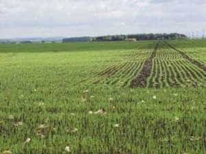 exploatatie agricola