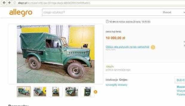 7 aro polonia anunt