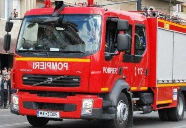 Animale salvate de pompierii argeșeni