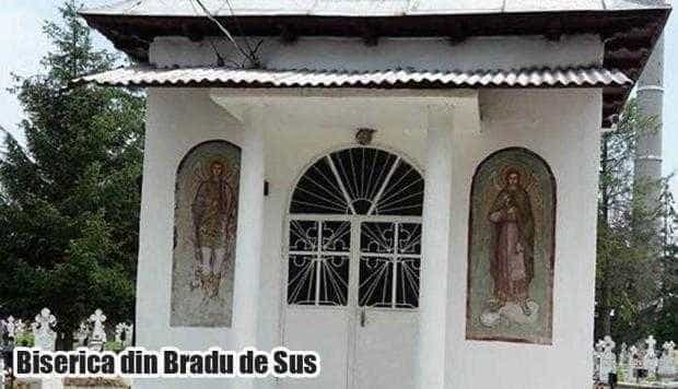 8 Sus