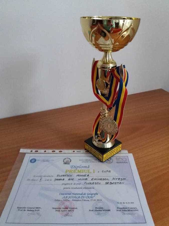 Argeșul are cei mai buni elevi la Geografie 7 Mihnead