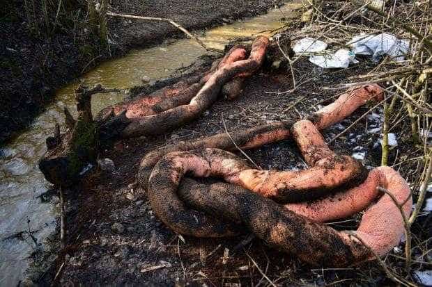 Catastrofă de mediu la Merișani. OMV, amendată cu sute de milioane