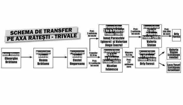 5 schema