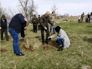 Luna plantării arborilor. 5000 de puieți plantați în Budeasa. 9 Luna plantării arborilor. 5000 de puieți plantați în Budeasa. 6