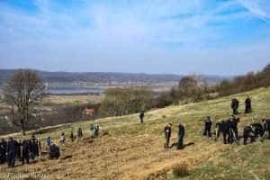 Luna plantării arborilor. 5000 de puieți plantați în Budeasa. 10 Luna plantării arborilor. 5000 de puieți plantați în Budeasa. 7