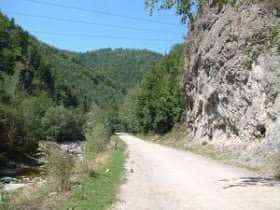 Întâlnire cu ursul, la Sălătrucu. Turiștii s- au adăpostit într- o zonă stâncoasă