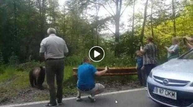 Turiști iresponsabili pe Transfăgărășan