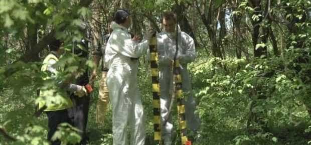 Sinucidere în Pădurea Trivale din Pitești