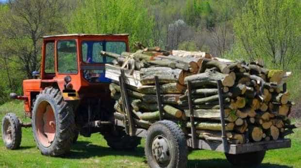 Transport ilegal de lemne la Uda și Schitu Golești
