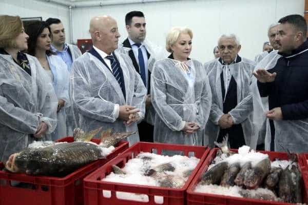 presshub.ro: România trebuie să returneze UE 15 milioane de lei deoarece Bursa de Pește din Tulcea, inaugurată de Dăncilă în aprilie, nu este funcțională