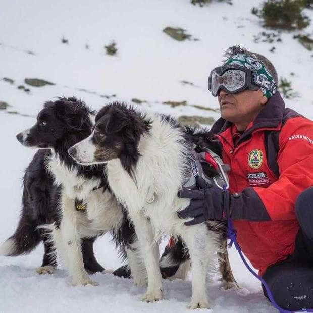 Legea Câinilor Salvamont, o reușită marca Ion Sănduloiu