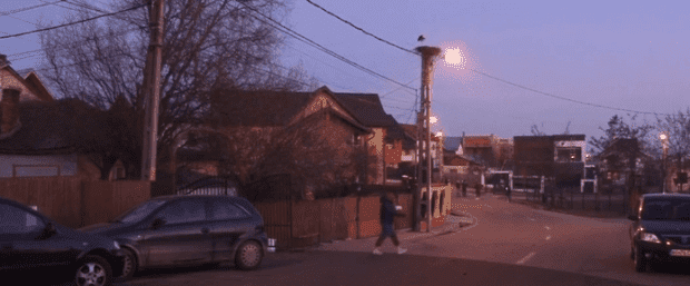 Berze prinse de ger la Pitești