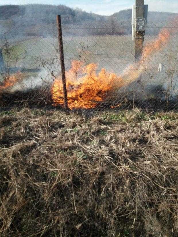 Incendiu de vegetație la Leordeni
