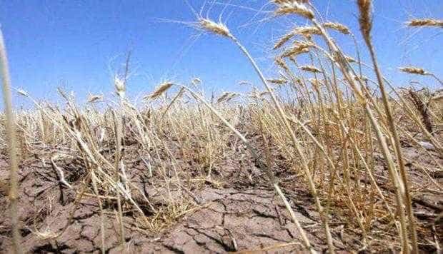 România primește 34 milioane euro de la UE pentru repararea daunelor cauzate de seceta din 2022