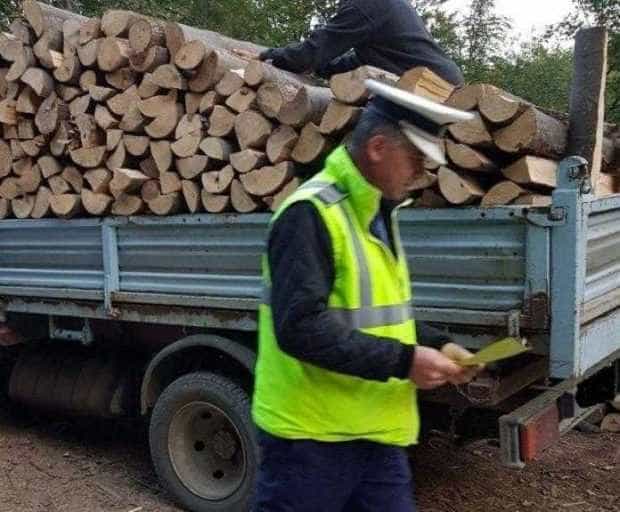 Argeș: 7 amenzi pentru transport lemne fără forme legale