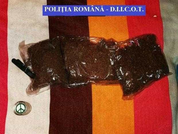 ARGEȘ: 11 percheziții la două grupări bănuite de trafic de droguri de risc