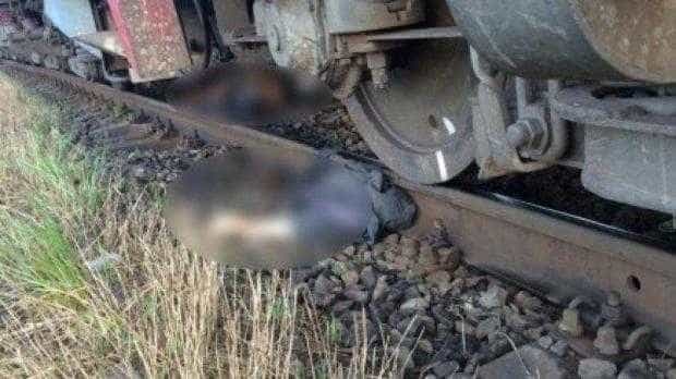 UPDATE: Cioban mort după ce a fost călcat de tren!