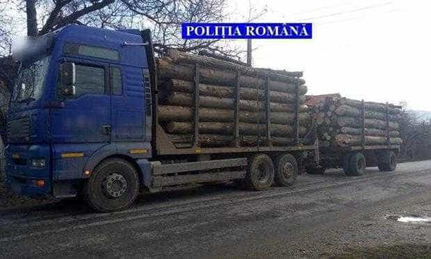 Albota: Transporta mai mult material lemnos decât în documente