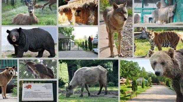 Grădina Zoologică Pitești – deschisă în a doua zi de Rusalii