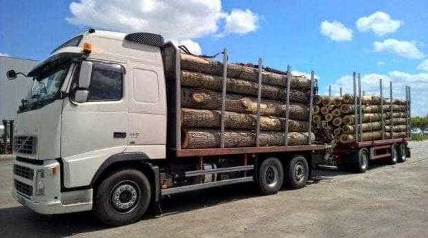 Albota: Amendat cu 5.000 lei pentru că transporta mai mult material lemnos decât în documente