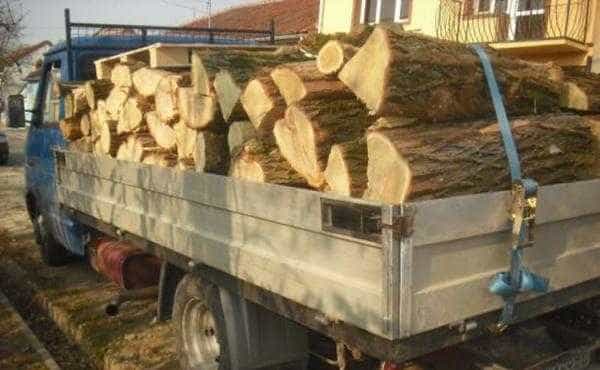 Mioveni: Transporta mai mult material lemnos decât cantitatea specificată în documente