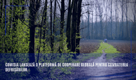 Combaterea defrișărilor – problemă europeană