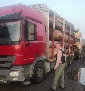 Argeșeni prinși în timp ce transportau lemne fără documente legale 6 Transport ilegal de lemne, descoperit în comuna Corbi
