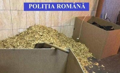 tutun-captura politisti