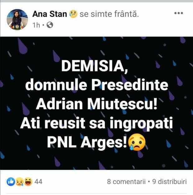 Ana Stan cere demisia lui Miuțescu