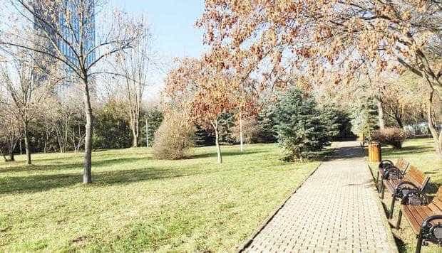 Un parc din Bucureşti poartă numele Elisabetei Rizea, eroina din Nucşoara