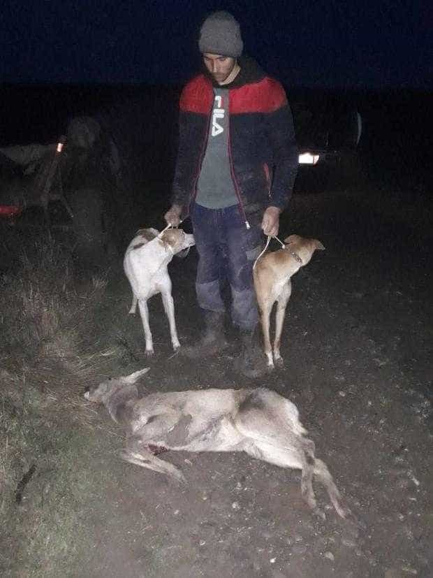 Braconier reținut în noaptea de Revelion