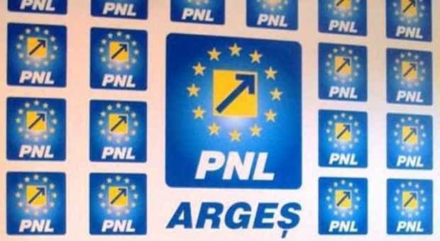 BPJ al PNL Argeș își afirmă susținerea pentru Ludovic Orban ca președinte al partidului