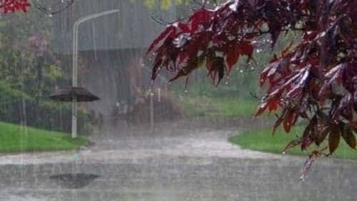Cod galben de precipitații și ploi abundente, prelungit în Argeș