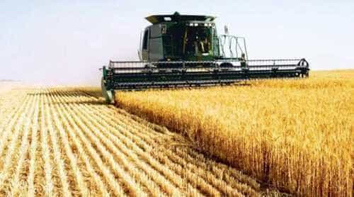 România va primi aproape 30 milioane euro de la Comisia Europeană pentru sprijinirea fermierilor afectați de cerealele ucrainene 