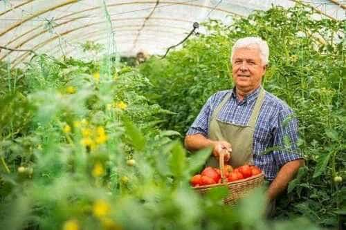 Legumicultorii vor primi ajutor de 2.000 de euro de la Ministerul Agriculturii