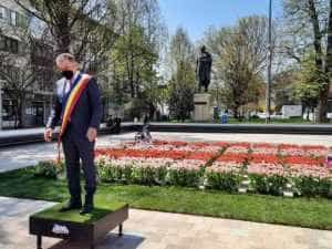 Lalelele din Piața Primăriei, oferite piteștenilor, de Florii 6 Grădina de lalele