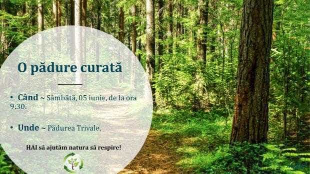 Ecologizarea pădurii Trivale de Ziua Mediului