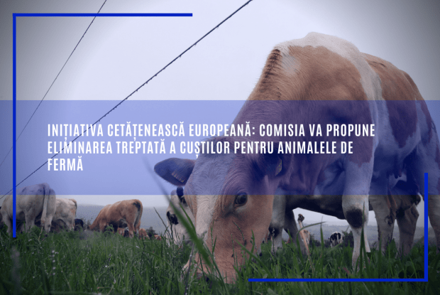 Comisia propune eliminarea cuștilor pentru animalele de fermă
