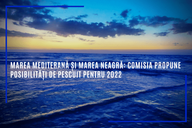 Marea Mediterană și Marea Neagră: Comisia Europeană propune posibilități de pescuit pentru 2022
