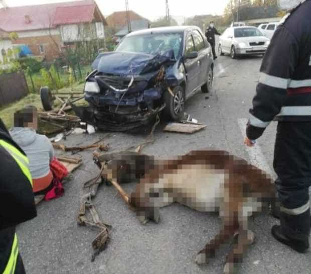 Măgăruș mort într-un accident, la Vlădești. Căruță făcută praf