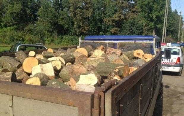 Mioveni: Transporta material lemnos fără proveniență justificată