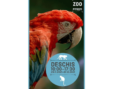 Grădina Zoologică Pitești, deschisă în perioada 29.11-01.12.2021