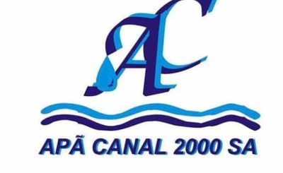 apa
